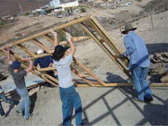 Tax Exempt Attorney near me